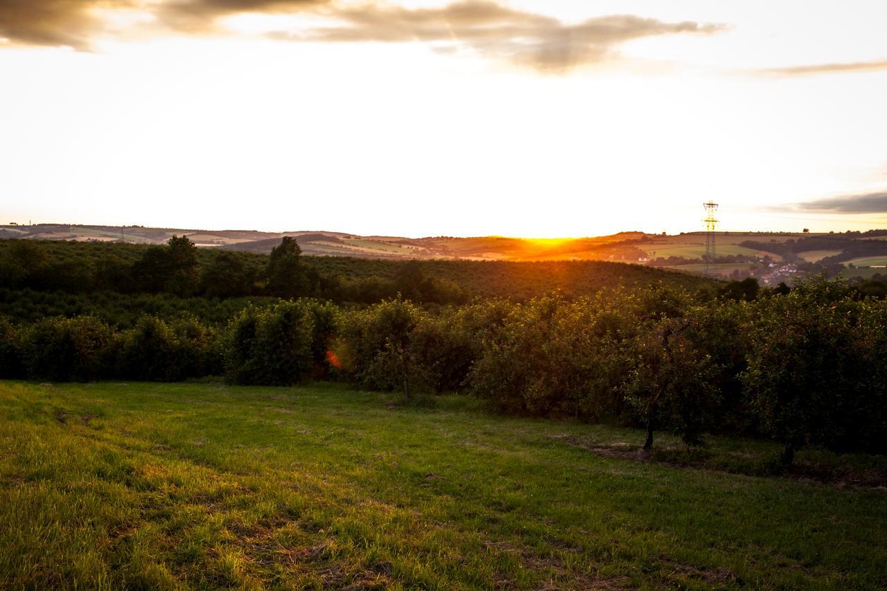 Landhotel Rosenschaenke Kreischa Bagian luar foto